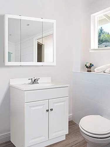 Design House Wyndham Bath Vanity Without Top, 2 Cabinet Doors, for 25-in. x 19-in. Vanity Top, Flush to Floor, Easy Assembly, for Bathroom, White, 18.0 in. L x 24.0 in. W x 31.5 in. H, 597120 | , Freestanding, Traditional, Wood, Bath, 597120