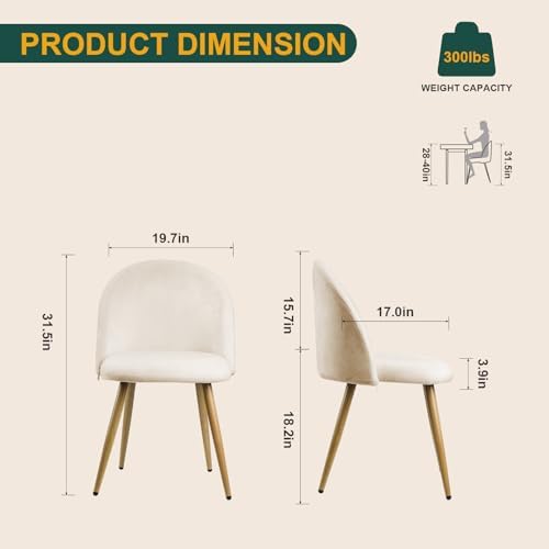 Big Dining Room Chairs Set of 2, Velvet Upholstered Modern Kitchen Chairs Side Chairs with Metal Legs & Comfortable Cushion, Stylish Accent Chairs for Living Room, Apartment, Home Bar, Beige