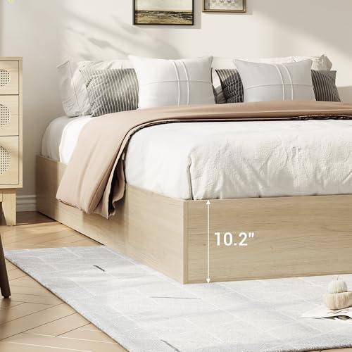 GarveeHome Wood Platform Bed Frame, Queen Bed Frame with 2 Drawers