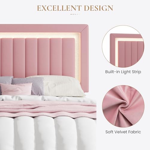 SHA CERLIN Queen Size Velvet Bed Frame with LED Light, Pink