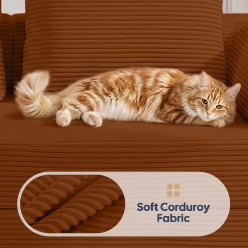 Comax Convertible Futon Sofa Bed, 59" Folding Boneless Loveseat Small Couch