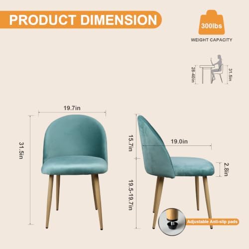 Big Dining Room Chairs Set of 2, Velvet Upholstered Modern Living Room Chairs with Metal Legs & Ergonomic Curved Backrest, Mid-Century Kitchen Chairs for Bedroom, Apartment, Mint Green