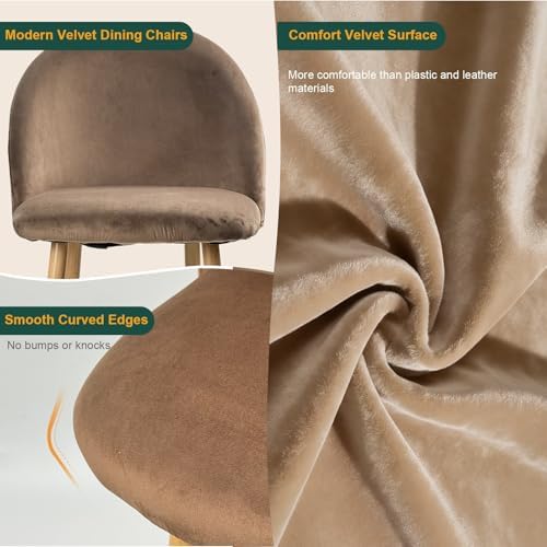 Big Dining Room Chairs Set of 2, Velvet Modern Kitchen Chairs with Metal Legs & Ergonomic Curved Backrest, Mid-Century Side Chairs Accent Chairs for Living Room, Apartment, Home Bar, Brown