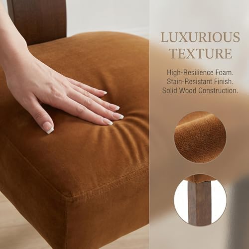 HNY Mid Century Modern Dining Chairs, Velvet Fabric Farmhouse Upholstered and Curved Backrest Kitchen Accent Chairs Set of 2, with Hardwood Frame, Burnt Caramel