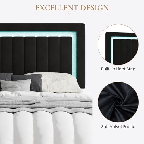 SHA CERLIN King Size Velvet Bed Frame with LED Light, Black