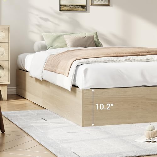 GarveeHome Wood Platform Bed Frame, Twin Bed Frame with 2 Drawers