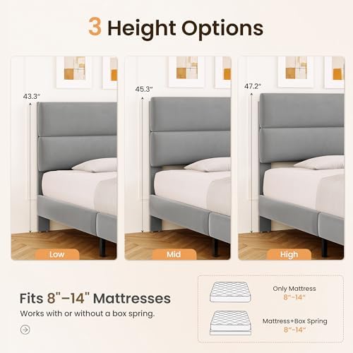 GRUSIGN Queen Size Platform Bed Frame with Velvet Headboard, Adjustable Height Wooden Slats Support, Upholstered Mattress Foundation, Fits Mattress or Mattress with Box Spring, Easy Assembly, Grey