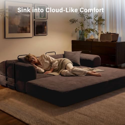 79" Convertible Sofa Bed, Boneless Sleeper Futon Couch for Living Room