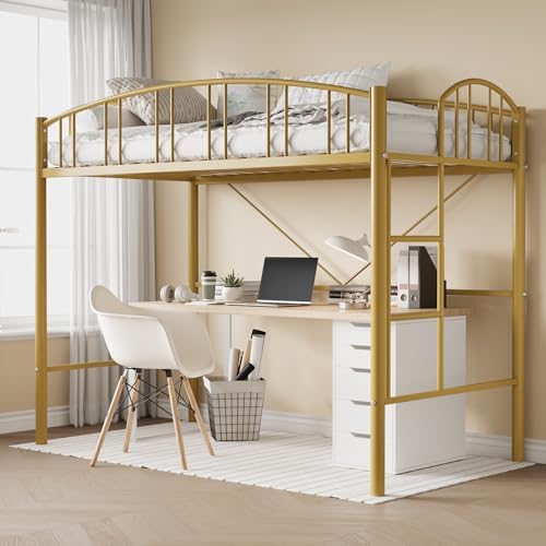 Garvee Loft Bed Twin Size with Ladde and Arched Guardrail for Kids, Adults