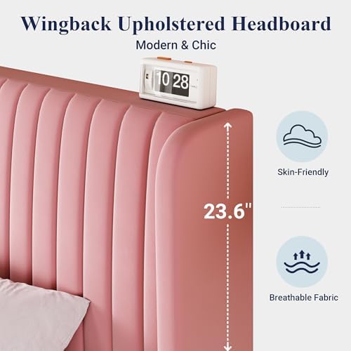 Allewie Queen Size Velvet Bed Frame/Vertical Channel Tufted Wingback Headboard/Upholstered Platform Bed/Strong Wooden Slats/No Box Spring Needed/Easy Assembly/Pink