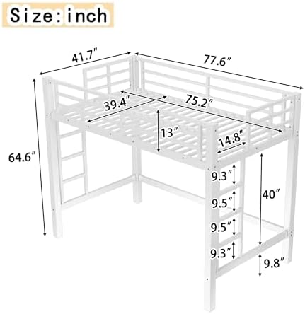 Bellemave Twin Size Loft Bed Frame with 2 Ladder, Sturdy Metal Construction & High Guardrail, Space-Saving Twin Loft Bed for Kids, No Box Spring Needed, Safe for Kids, Adults, Teens, Dorms, White