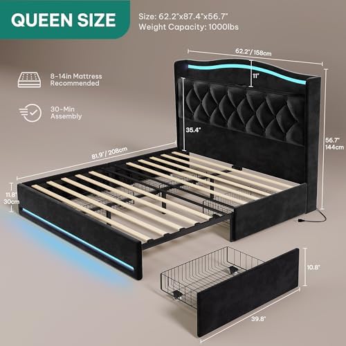 DWVO Queen Size Bed Frame with 4 Storage Drawers and RGB LED Lights, Black