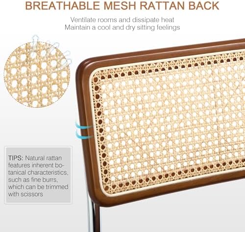 Zesthouse Rattan Dining Chairs Set of 2, Mid Century Modern Dining Room Chairs with Natural Cane Mesh & Chrome Base, Brown Cesca Chair for Kitchen, Breuer Design Inspired, Upholstered Chenille Fabric