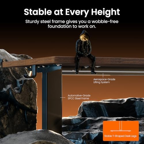 ErGear Height Adjustable Electric Standing Desk, 48 x 24 Inches Sit Stand up Desk, Memory Computer Home Office Desk, Dark Walnut