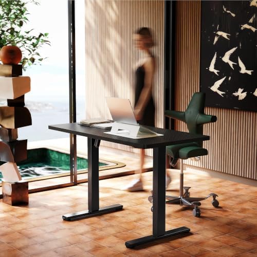 HUANUO 48x24 Inch Electric Standing Desk, Adjustable, Carbon Fiber Black