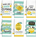 Redbaker 6 Pcs Lemon Kitchen Towels with Hanging Loop