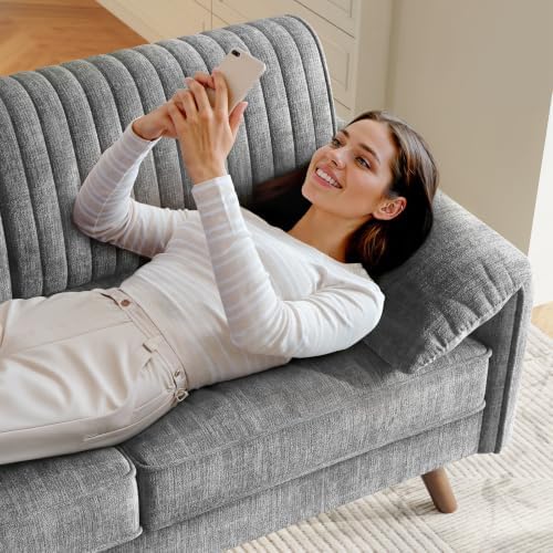 ONBRILL 64.5" Loveseat Sofa, Chenille Loveseat Couch for Living Room, Grey