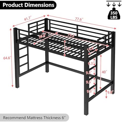 Bellemave Twin Size Loft Bed Frame with 2 Ladder, Sturdy Metal Construction & High Guardrail, Space-Saving Twin Loft Bed for Kids, No Box Spring Needed, Safe for Kids, Adults, Teens, Dorms, Black
