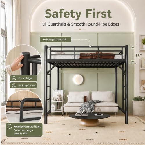 Bellemave Queen Loft Bed, Metal Round Pipe, Dual Ladders, Save Space, Black