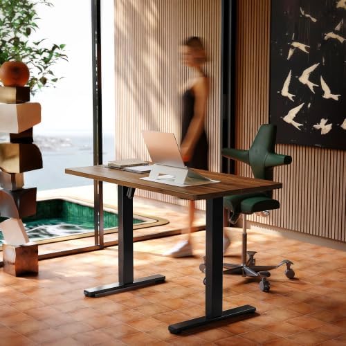 HUANUO 48x24 Inch Electric Standing Desk, Height Adjustable, Walnut