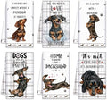 Redbaker 6 Pcs Dachshund Kitchen Towels Funny Dishcloth