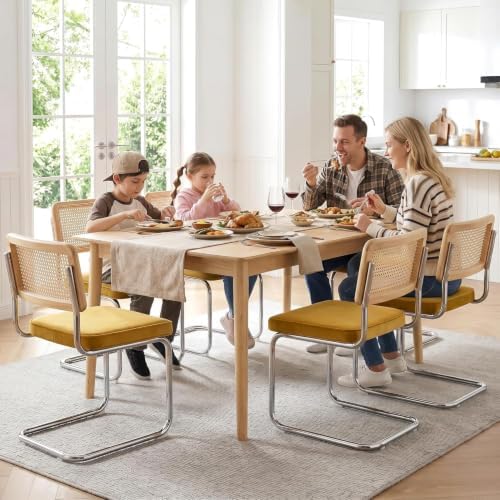 Zesthouse Dining Chairs Set of 4, Natural Rattan Accent Chairs with Solid Wood Back & Stainless Chrome Base, Mid Century Modern Breuer Design Inspired, Upholstered Velvet Kitchen Chairs, Yellow