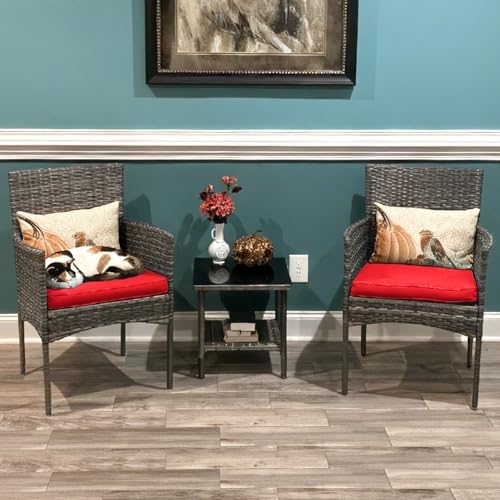 FDW 3-Piece Patio Furniture Set | Gray & Red | Outdoor Wicker Furniture