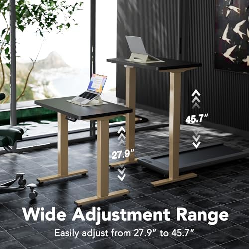 HUANUO 32" Small Electric Standing Desk Adjustable Height, 4 Memory Height Settings, Sit Stand Up Desk for Home Office & Computer Workstation, Black and Gold Frame