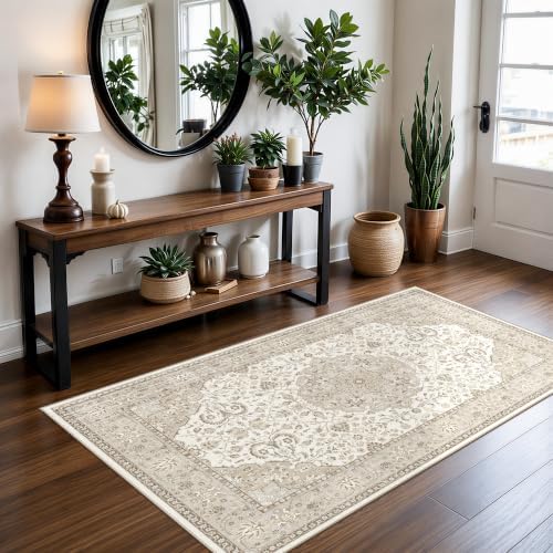 HY HAOYUNLAI Washable Neutral 3x5 Area Rug Living Room Non-Slip Carpet