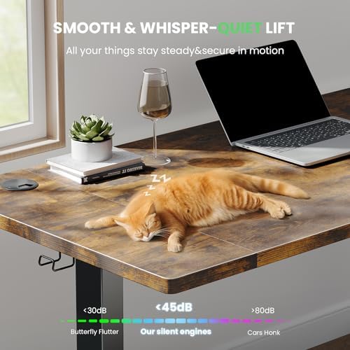 Electric Standing Desk Adjustable - 55 x 24 Inch Sit Stand up Desk with 0.8 Inch Thick Tabletop - Adjustable Height Table with 3 Memory Preset, Cable Management for Home Office