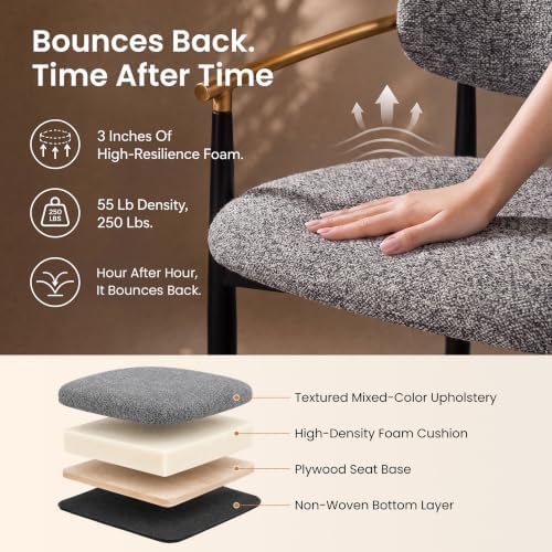 COLAMY Mid Century Modern Dining Chairs Set of 4, Upholstered Kitchen Room Chairs with 3" High-Resilience Cushion, Sturdy Metal Legs and Ergonomic Curved Backrest for Home Office, Grey