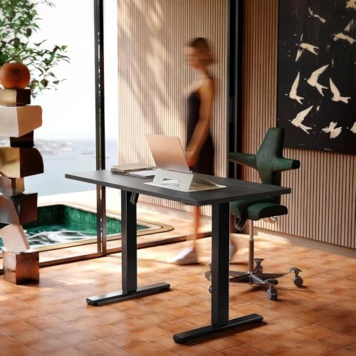 HUANUO 48x24 Inch Electric Standing Desk, Height Adjustable, Grey