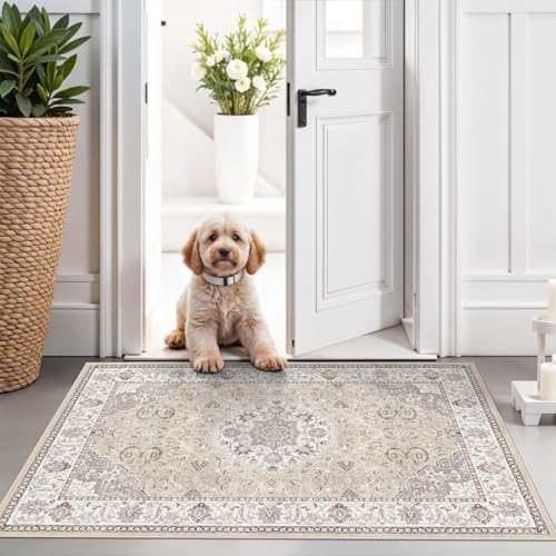 Washable 2x3 Entryway Area Rug - Neutral Kitchen Rug Runner Vintage Soft Floor Mat Non Slip Indoor Farmhouse Carpet for Bathroom Living Room Bedroom (2 X 3, Beige)
