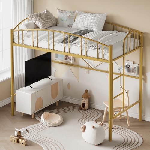 Garvee Loft Bed Twin Size with Ladde and Arched Guardrail for Kids, Adults