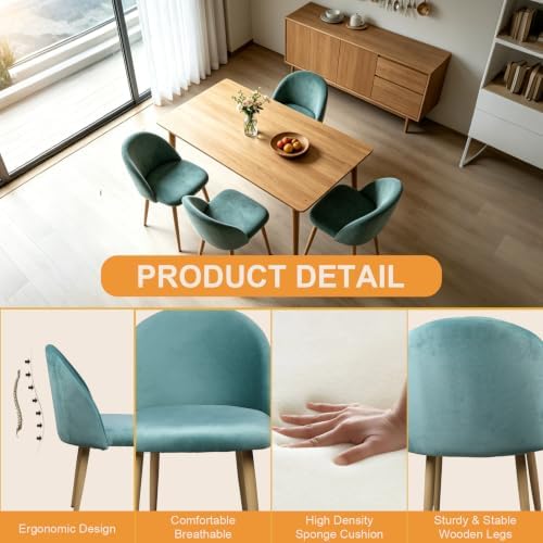 Big Dining Room Chairs Set of 2, Velvet Upholstered Modern Living Room Chairs with Metal Legs & Ergonomic Curved Backrest, Mid-Century Kitchen Chairs for Bedroom, Apartment, Mint Green