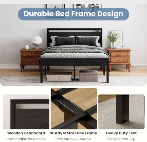 Sweetcrispy 14 Inch Queen Size Metal Bed Frame with Wood Headboard, Black