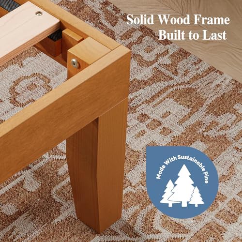 DUMOS 14 Inches Queen Size Wood Platform Bed Frame, Solid Wooden Mattress Foundation with Heavy Duty Wood Slat Support, Sturdy, No Box Spring Needed, Natural Pine