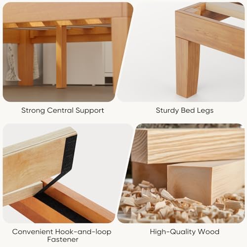 DUMOS Queen Bed Frame, Solid Wooden 12IN Platform Bed Base with Sturdy Wood Slat Support, Noise-Free Design, No Box Spring Needed, Easy Assembly, Natural Pine