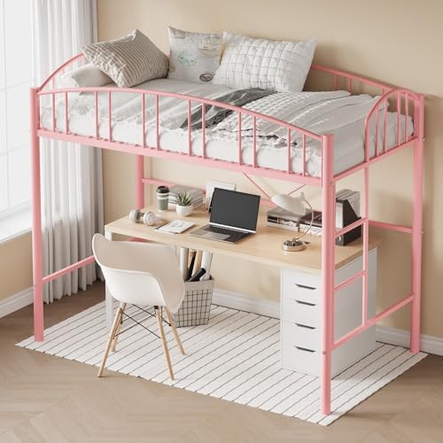 Garvee Loft Bed Twin Size with Ladde and Arched Guardrail for Kids, Adults