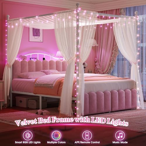 Homkdom Queen Size Canopy Bed Frame with 2 Drawers and LED & Charging,Pink