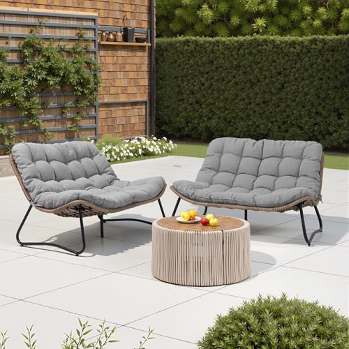 Crestlive Outdoor Loveseat, Patio Conversation Set (2PCS Dark Gray)