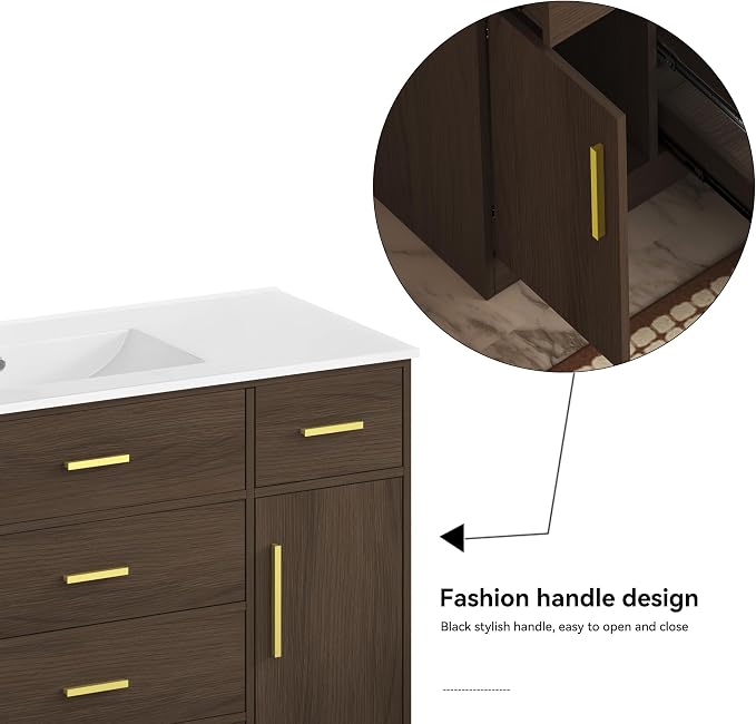 LUMISOL 48 Inch Bathroom Vanity with Sink, Freestanding Bathroom Vanity with 6 Storage Drawers and 2 Soft-Closing Doors, Wood 48" Bathroom Vanities with Resin Sink, Dark Brown