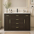 LUMISOL 48 Inch Bathroom Vanity with Sink, Freestanding Bathroom Vanity with 6 Storage Drawers and 2 Soft-Closing Doors, Wood 48" Bathroom Vanities with Resin Sink, Dark Brown