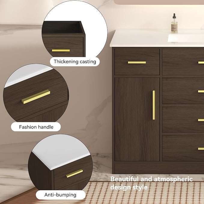 LUMISOL 48 Inch Bathroom Vanity with Sink, Freestanding Bathroom Vanity with 6 Storage Drawers and 2 Soft-Closing Doors, Wood 48" Bathroom Vanities with Resin Sink, Dark Brown